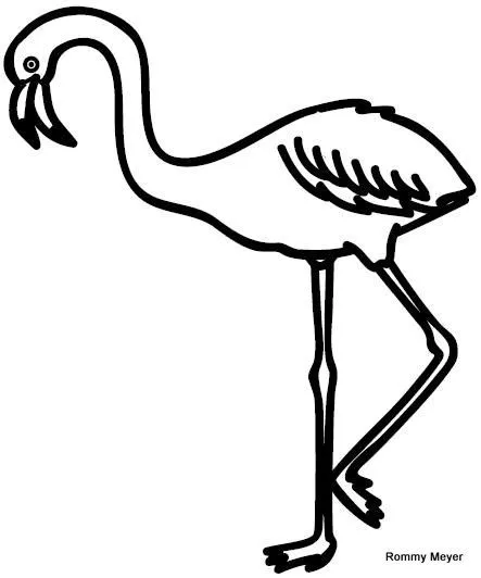 flamingo | Wchaverri's Blog
