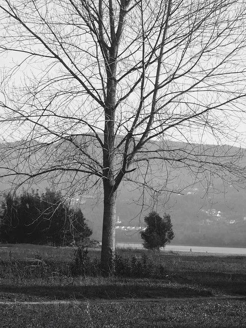 Flickr: The fotografías paisajes y blanco y negro Pool Flickr: The fotografías paisajes y blanco y negro Pool
