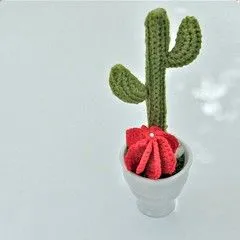 Flickr: The Knit & Crochet Cactus !!! Pool