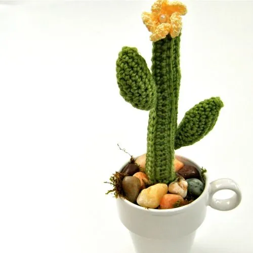 Flickr: The Knit & Crochet Cactus !!! Pool