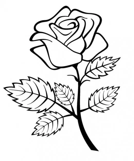 Flor color de rosa con la rama y las hojas | Descargar Vectores gratis