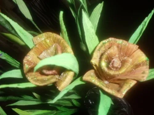 Imagen flores de hojas de maiz - grupos.emagister.com