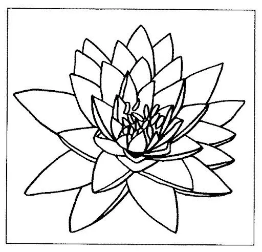 Flor de loto para colorear - Imagui