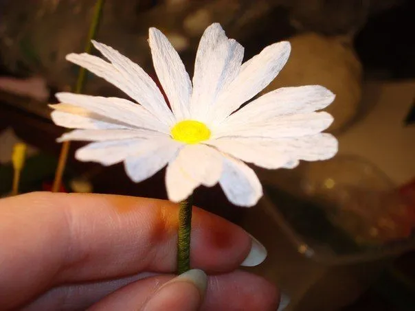 Como hacer una flor de manzanilla con papel crepe (1) | scrap ...