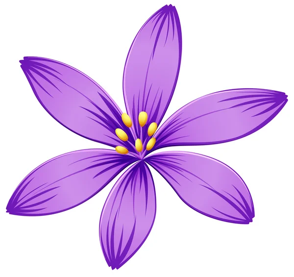 Una flor morada de cinco pétalos — Vector stock © blueringmedia ...