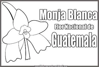 Flor Nacional de Guatemala - Monja Blanca para colorear | Dibujos ...