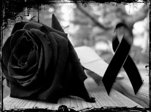 Flor negra de luto - Imagui