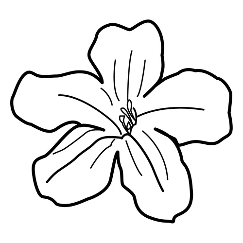 Partes de la flor para imprimir - Imagui