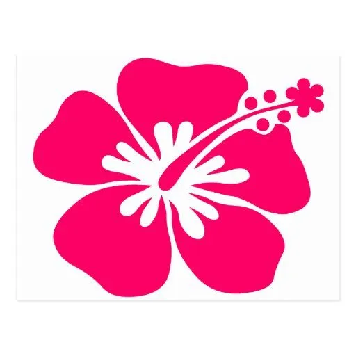 flor rosada de la hawaiana tarjeta postal de Zazzle. flor rosada de la hawaiana tarjeta postal de Zazzle.