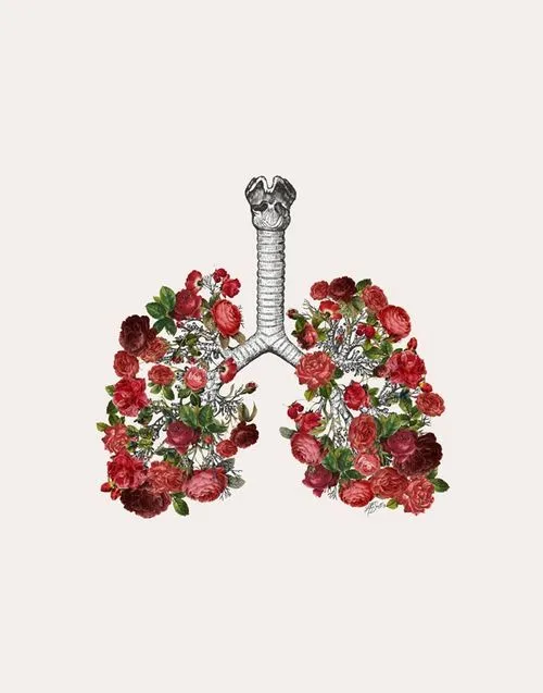 floral lungs | Tumblr