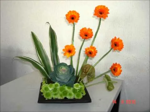 florales | Triton TV