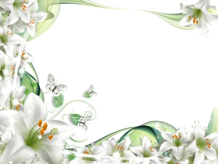 flores-blancas.png (800×600) | frame | Pinterest