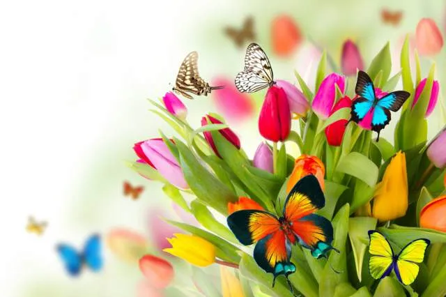 Flores bonitas: ideas preciosas para tu fiesta en primavera