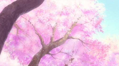 flor de cerezo | Tumblr