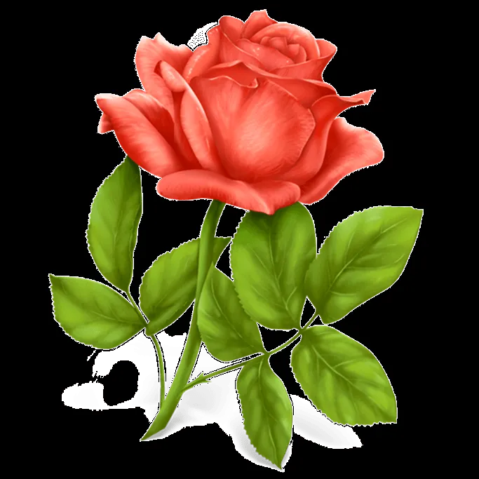 Flores e Rosas para découpage | Imagens para Decoupage Flores e Rosas para découpage | Imagens para Decoupage