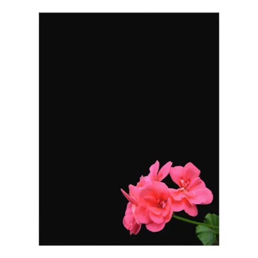 Flores en fondo negro flyer a todo color | Zazzle