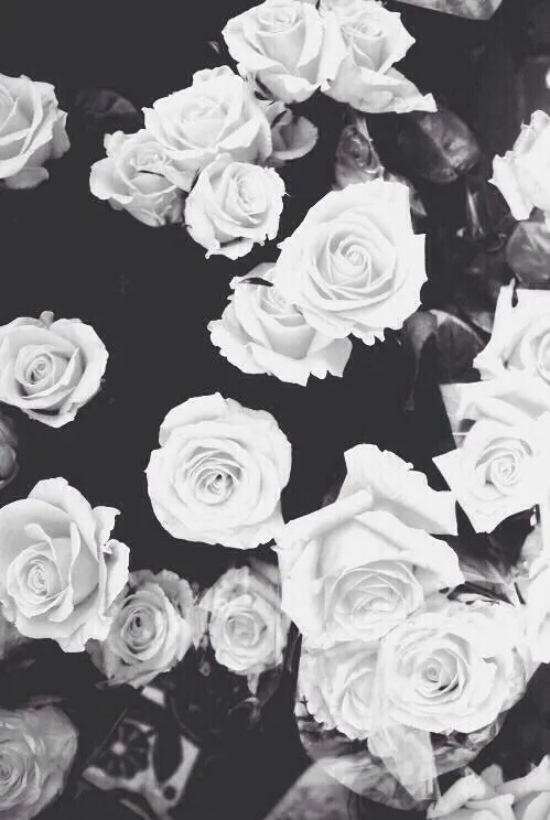 Flores de fondo de pantalla tumblr - Imagui