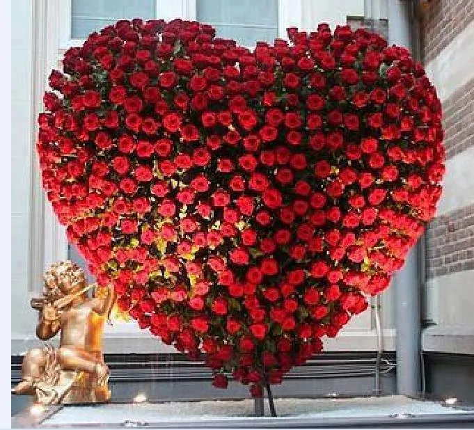 Flores en forma de corazón para regalar en San Valentín - ∞ Solo ...