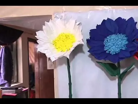 Flores Gigantes - Citytv - YouTube