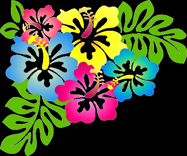 Imagenes de flores de hawaii - Imagui