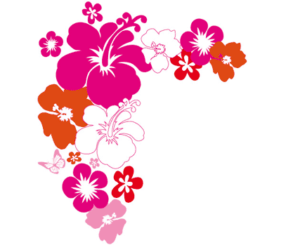 Flores hawaii - Imagui