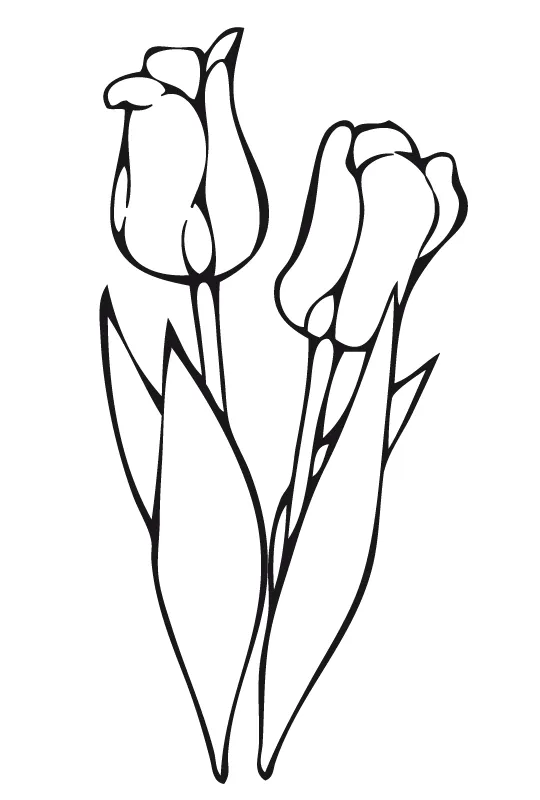 Flores hermosas para colorear | Dibujos para colorear Flores hermosas para colorear | Dibujos para colorear