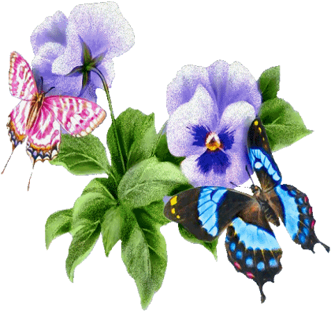 Flores y mariposas gif - Imagui
