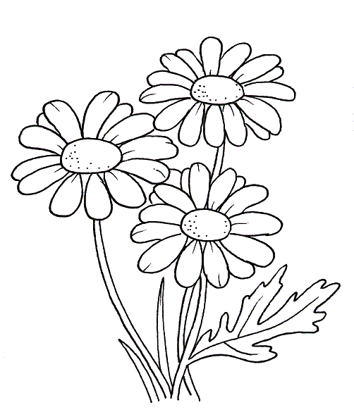Moldes de flores para dibujar en tela - Imagui