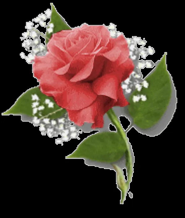 Flores en Png para Photoshop - Imagui Flores en Png para Photoshop - Imagui