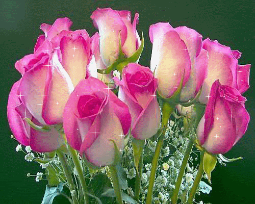 flores y rosas hermosas - Buscar con Google | FLORES Y ROSAS ...