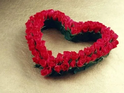 LAS FLORES: Los rosas son el simbolo del amor y los colores su ... LAS FLORES: Los rosas son el simbolo del amor y los colores su ...