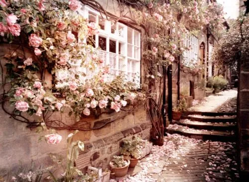 Fondo de flores vintage con frases - Imagui Fondo de flores vintage con frases - Imagui
