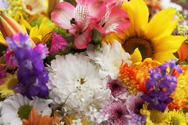 Flores - Wallpaper II | Flickr - Photo Sharing! Flores - Wallpaper II | Flickr - Photo Sharing!