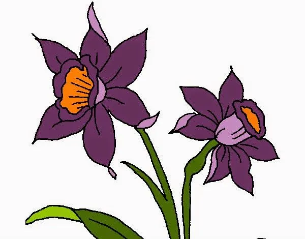 Flortografía: Mes de abril dedicado a las orquídeas