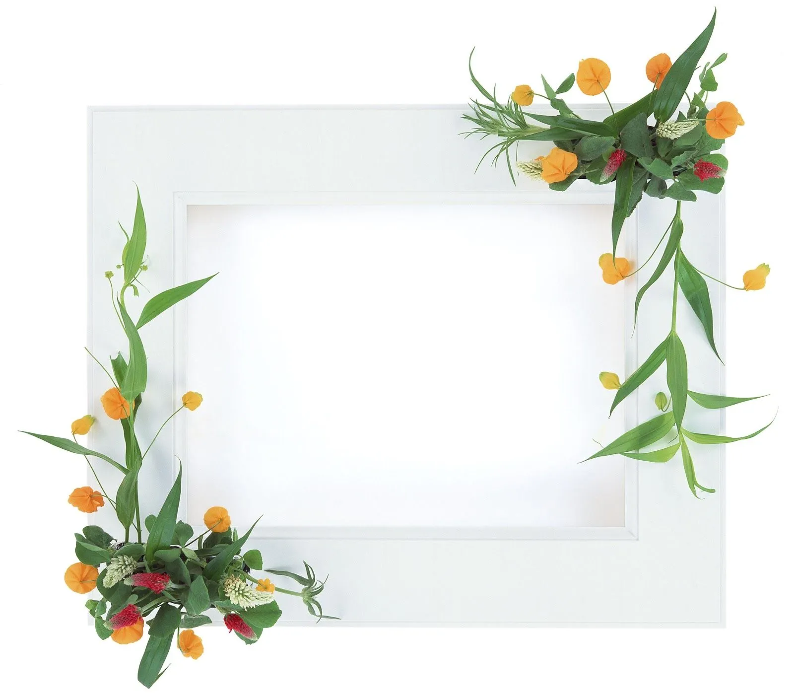 Flower Frames In All Size ~ Hits All