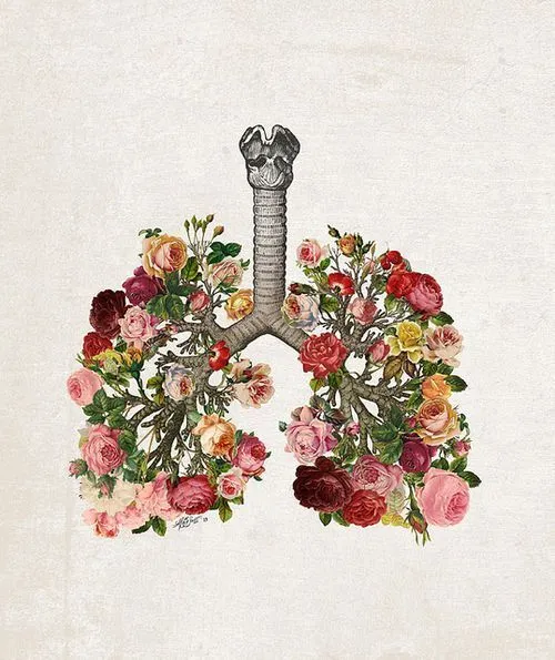 flower lungs | Tumblr