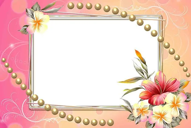 flowers frame | Your Blog Description