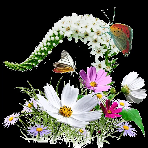 Flowers Wildflowers Icon | My Seven Iconset | Itzik Gur Flowers Wildflowers Icon | My Seven Iconset | Itzik Gur