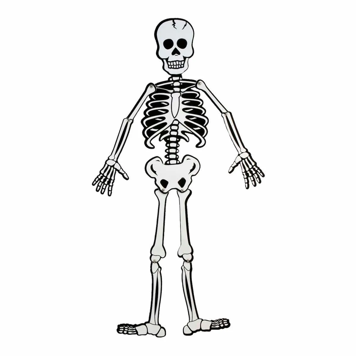 Fomi Esqueleto 84cm | Fantasias Miguel – Fantasías Miguel