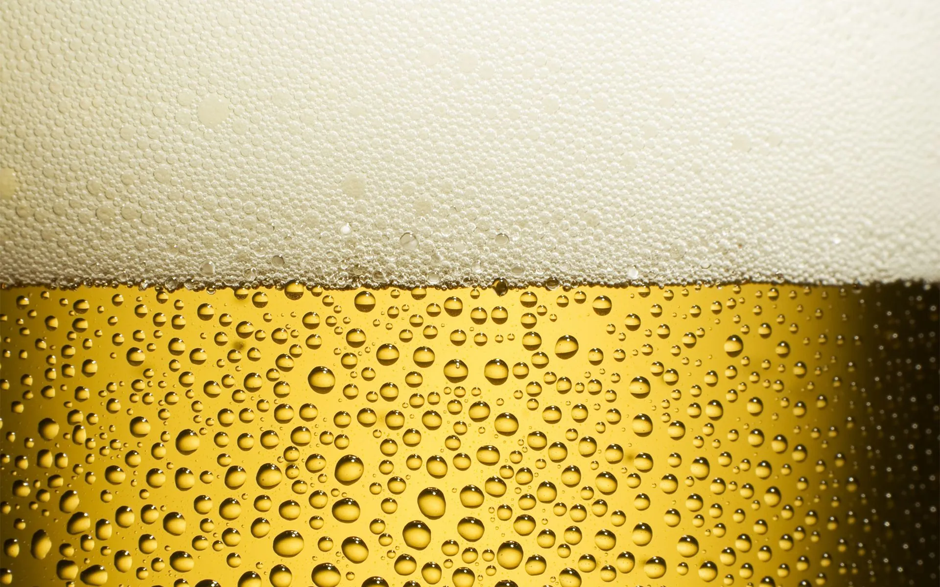 Fondo de Cerveza | Peliculas Online Gratis Latino HD Fondo de Cerveza | Peliculas Online Gratis Latino HD