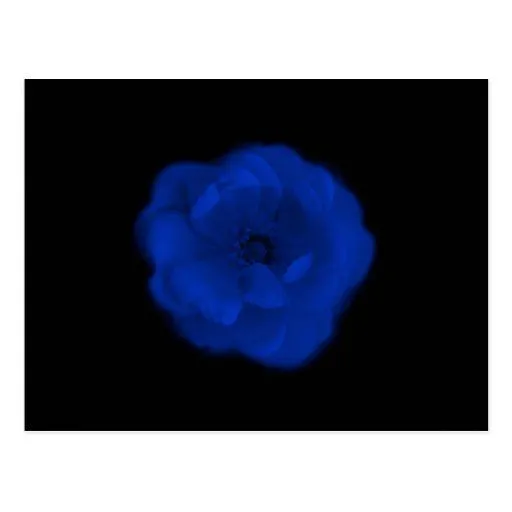 Fondo color de rosa, negro azul postal de Zazzle. Fondo color de rosa, negro azul postal de Zazzle.