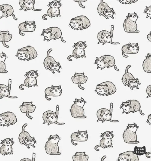 Gatos fondo tumblr - Imagui