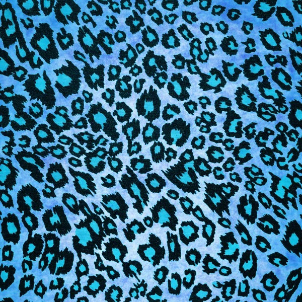 Fondo de leopardo azul — Foto stock © kwasny222 #30653399