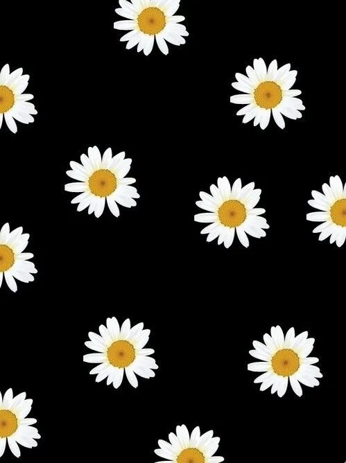 Fondos de flores margaritas tumblr - Imagui