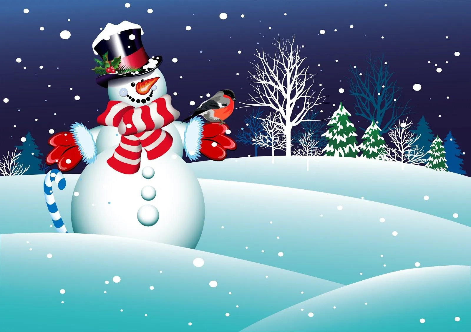 Fondo navideño con hermoso muñeco de nieve y aves | Banco de Imagenes