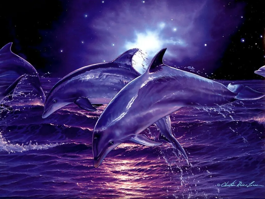 espectacular fondo de pantalla de delfines saltando en el mar con un ...