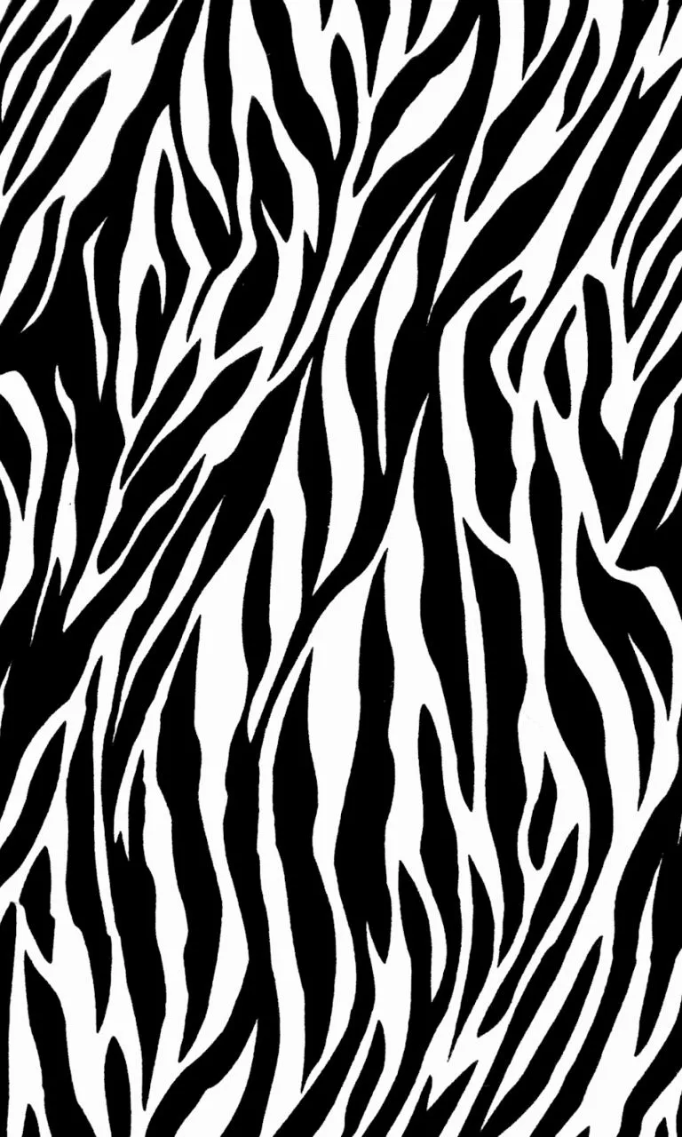 Fondo de pantalla de zebra | Imagenes