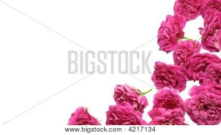 Fondo rosa rosa para tarjeta de San Valentín Fotos stock e ...