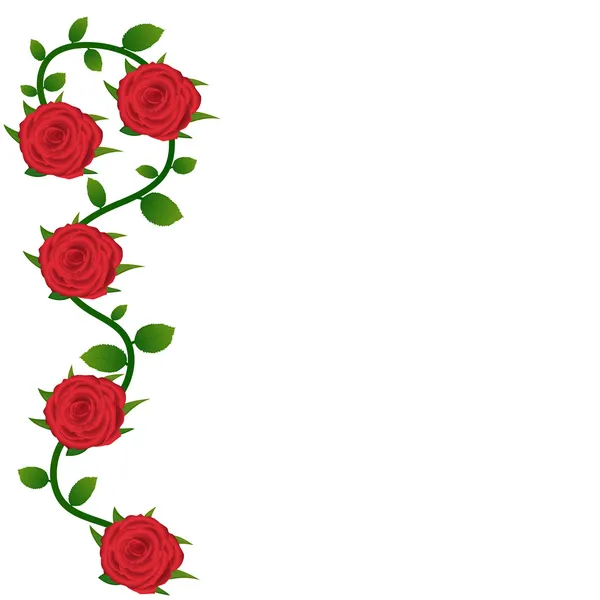 Fondo de rosas rojas para la tarjeta de felicitación — Vector ...