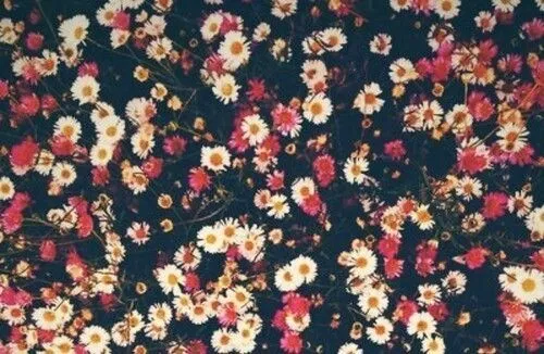 Tumblr flores fondo - Imagui